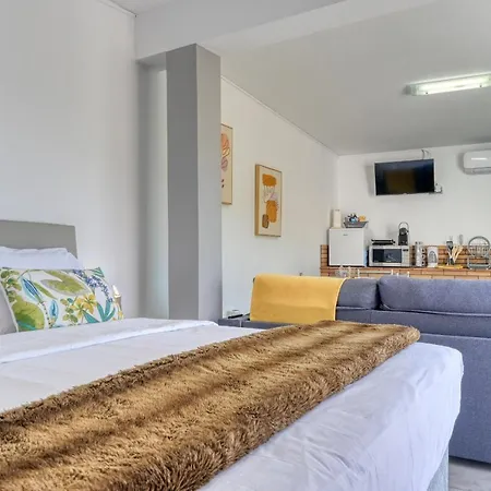 Apartment 92, A In Madeira